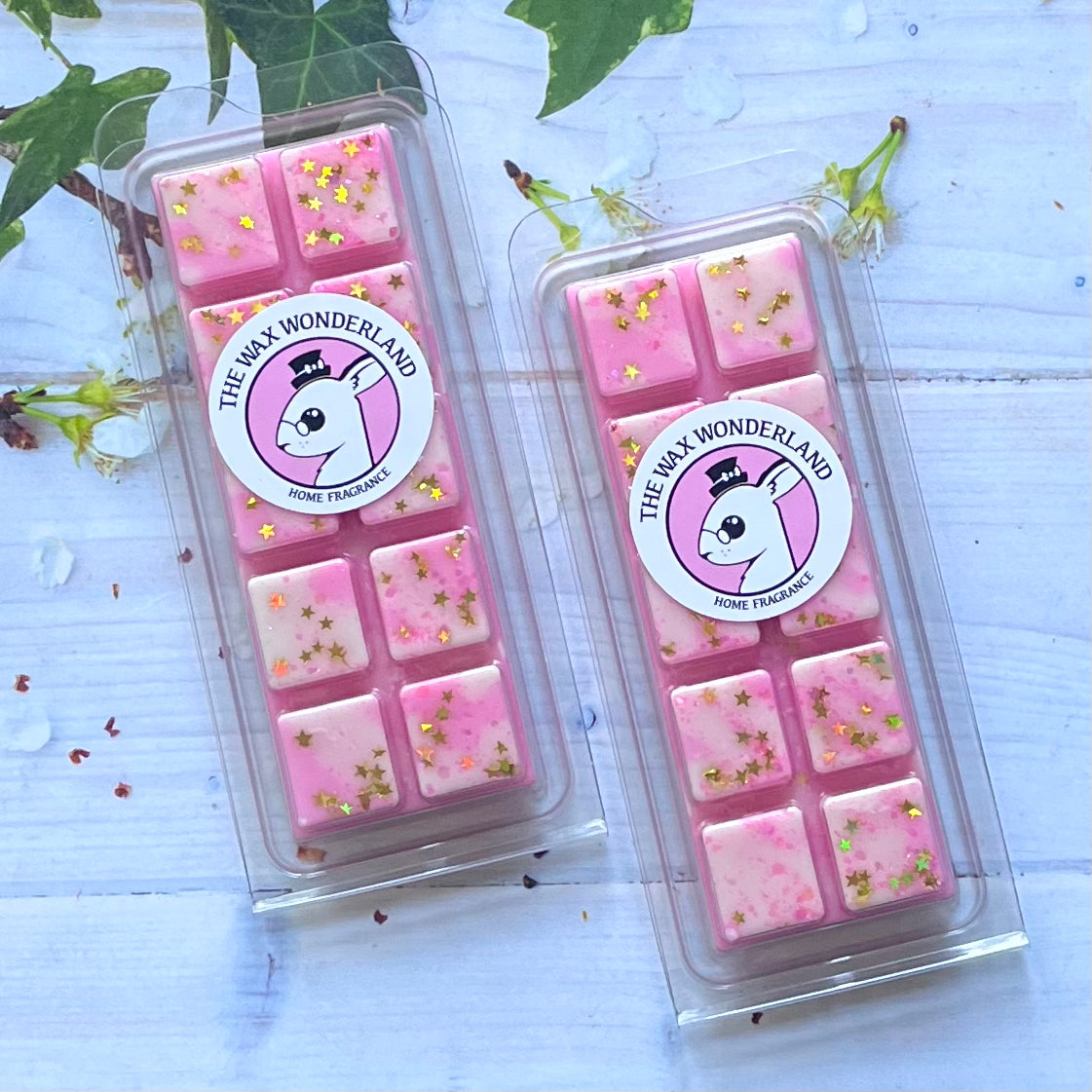 Fizzy Star (S*ap & Glory) Wax Melt Snap Bar