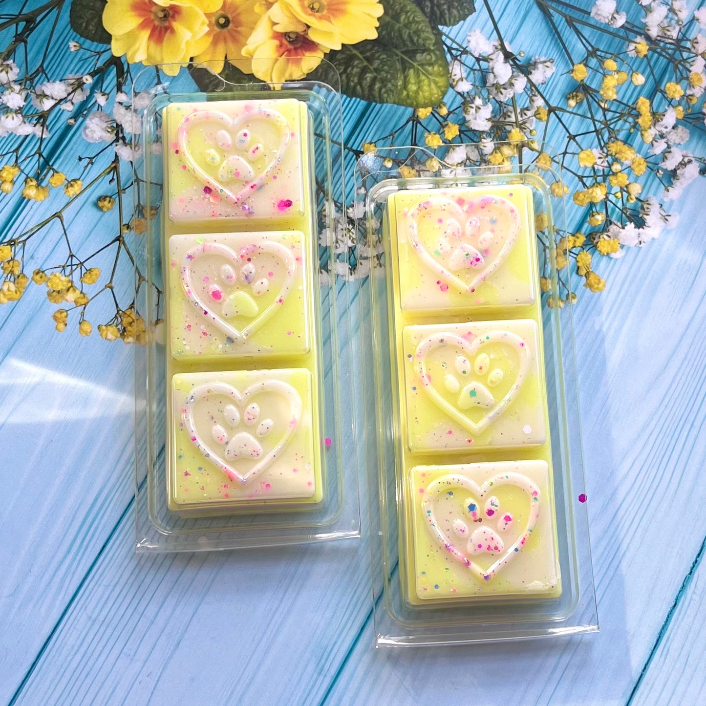 Fruity Rings Wax Melt Snap Bar