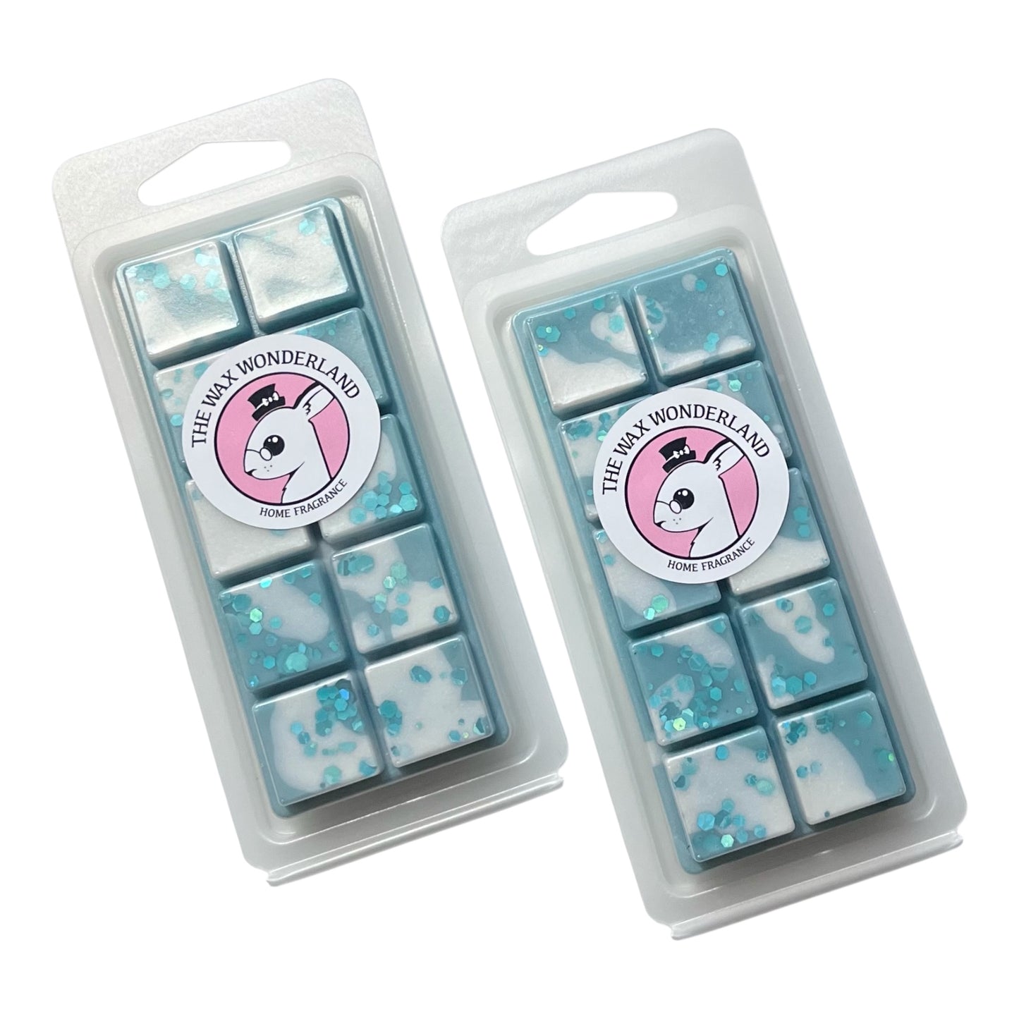 Lenny Frosted Eucalyptus Wax Melt Snap Bar