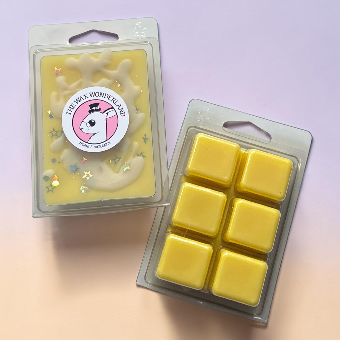 Lemon Sherbet ~ 6 Segment Wax Melts
