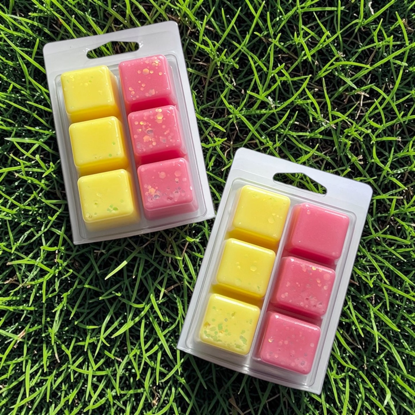 Citronella/Citronella Berry Cocktail ~ 6 Segment Duo Clam Wax Melts