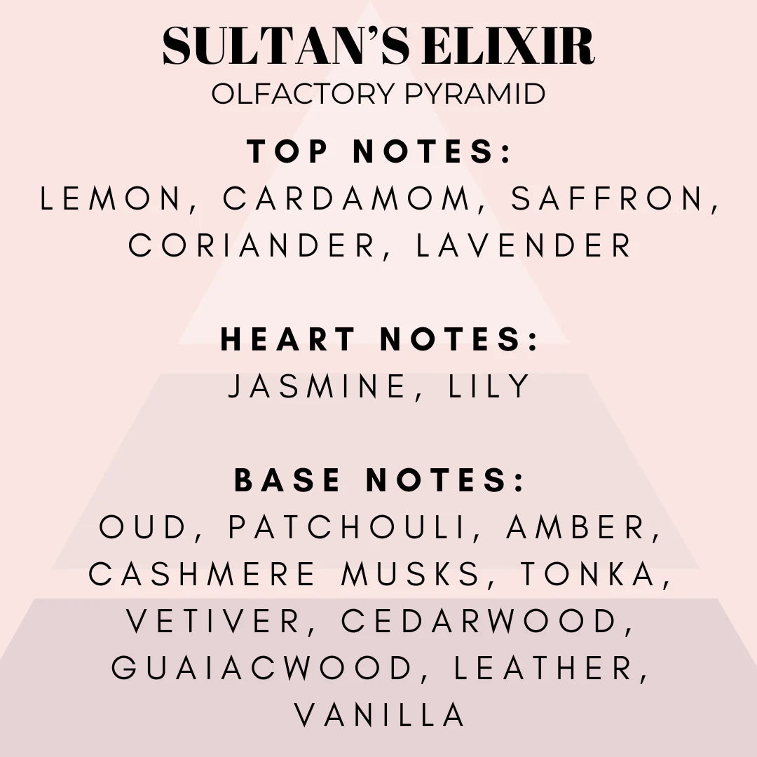 Sultan's Elixir ~ Dubai Wax Melt Shell Shaped Clamshell