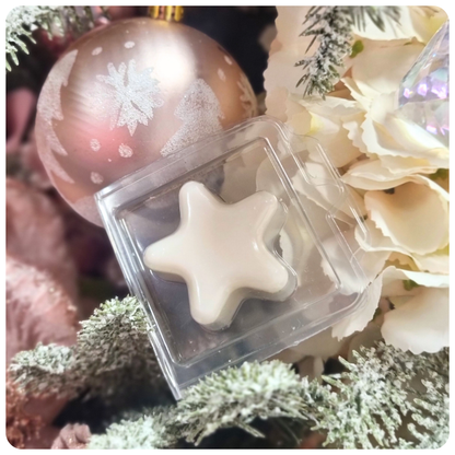 ** MORE SCENTS ADDED SOON ** 7 For Price Of 5 Christmas Mini Clam ~ Christmas Scents ~ Mix & Match