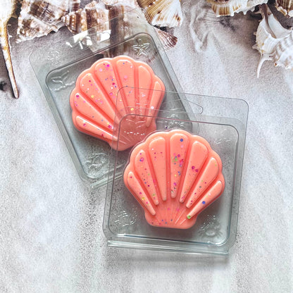 Dubai Dunes  ~ Dubai Wax Melt Shell Shaped Clamshell