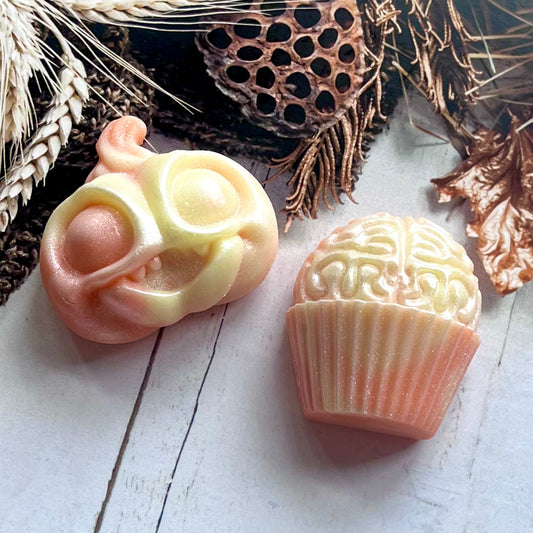 Witch Way To The Candy ~ Brain Cupcake Wax Melt