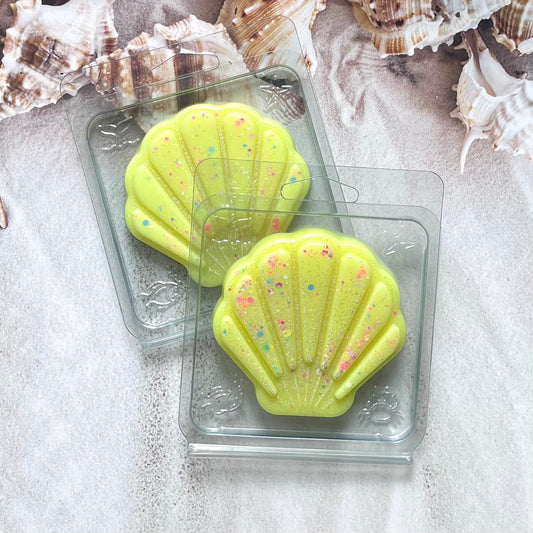 Downtown Dubai ~ Dubai Wax Melt Shell Shaped Clamshell