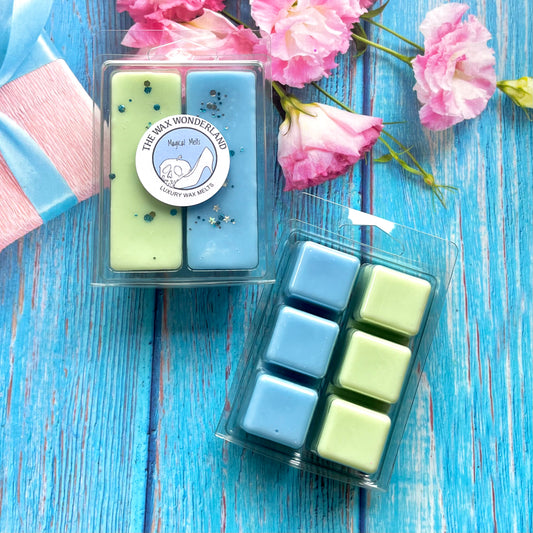 Beach Club Lobby & Hotel Of Dreams ~ Magical Melts Duo Wax Melt 6 Segment Snap Bar