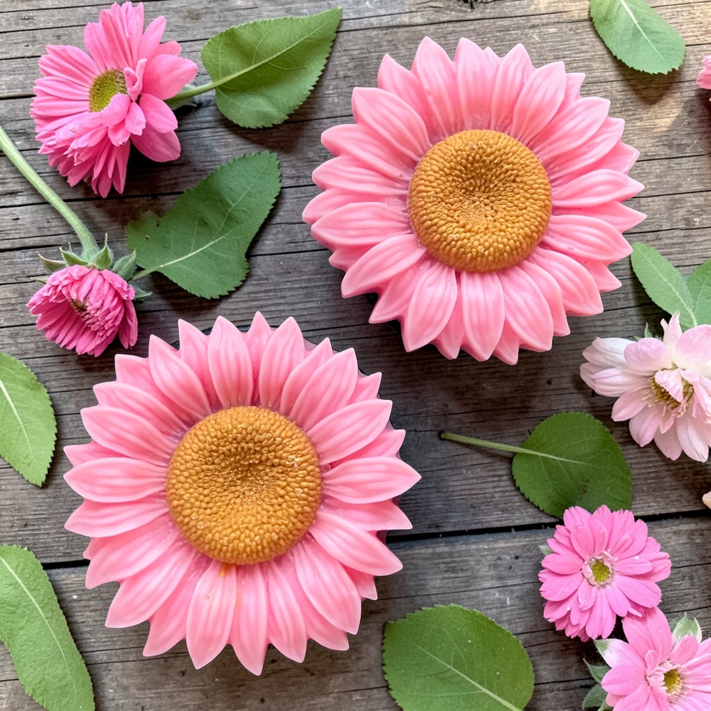 Cotton Candy Clouds (L*sh) ~ Sunflower Wax Melt