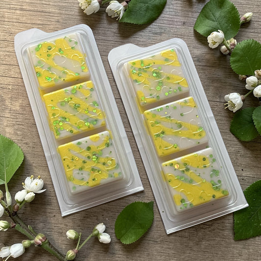 Coconut & Lemongrass Wax Melt Snap Bar