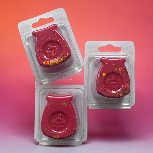 World Explorer ~ Wax Burner Clam Wax Melt