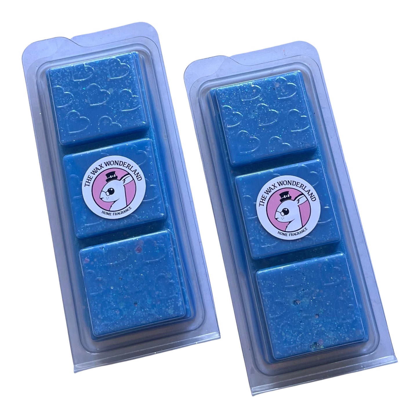 Butt Lift & Sea Salt SDJ (House Blend) ~ Wax Melt Snap Bar