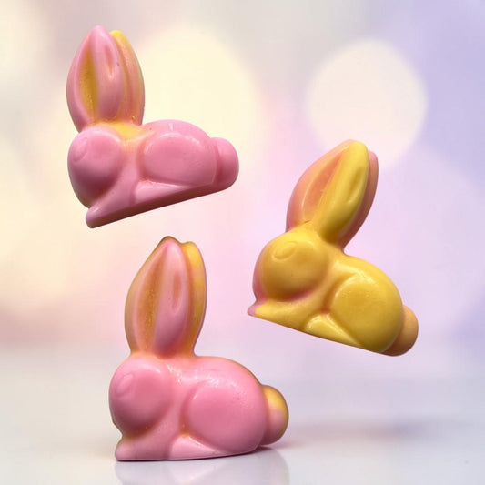 Jamaican & Barbadian Fruits ~ Rabbit Wax Melt