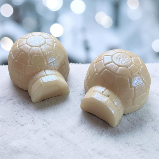 BBW Fresh Sparkling Snow ~ Igloo Wax Melt