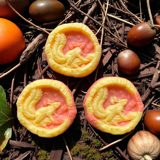 Vanilla Pumpkin(Body Shop) ~ Squirrel Wax Melt