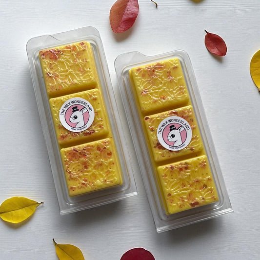 Autumn Glow Wax Melt Snap Bar