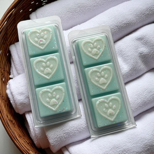Fairy Scent Boosters Wax Melt Snap Bar