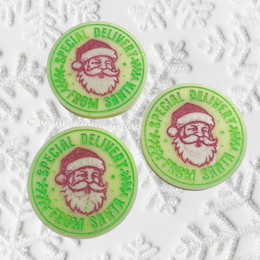 Old Fasioned Egg-Nog ~ Special Delivery Wax Melt