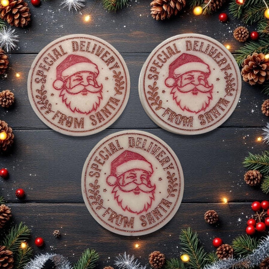 Winter Cherry & Ginger Frosting ~ Special Delivery Wax Melt