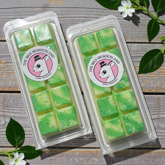 Fizzy Sweet Wax Melt Snap Bar