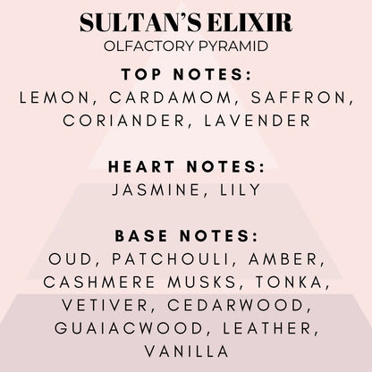 Sultan's Elixir ~ Dubai Wax Melt Shell Shaped Clamshell
